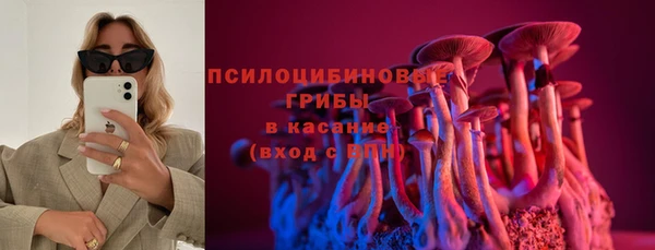 сатива Абдулино