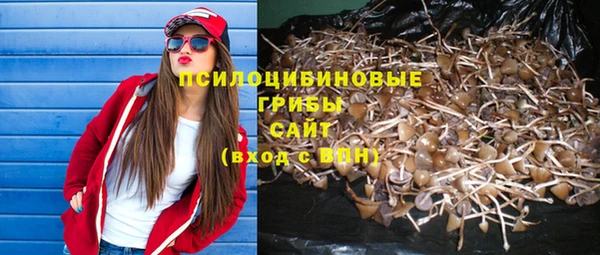 mix Абаза