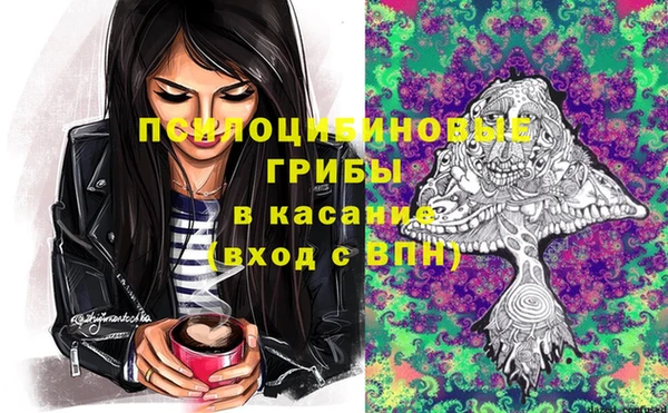 гидропоника Михайловка