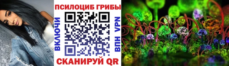 Галлюциногенные грибы MAGIC MUSHROOMS  купить закладку  Сусуман 